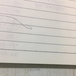 친구 <b>노트</b>빌렸는데 어떡해ㅠㅠㅠㅠ