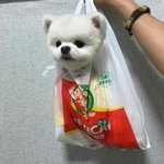 나같은 <b>가위</b> 눌려본 사람 있냐