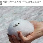 [드루와] 세수할때 클렌징<b>오일</b>로 해도