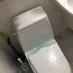 강화유리 폭발?(방탈죄송)