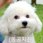 [EXO] 밑에 <b>팩</b><b>폭</b>오져