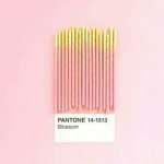 [댓글부탁해] 가을옷 사려고 하는데 <b>인</b><b>쇼</b>추천좀