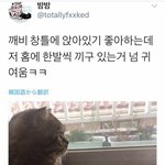 꿈꾸다가<b>운거</b>처음이네