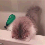 [임영민] <b>엠넷</b> 틀었는데 우연히 프두가 하고있을때...