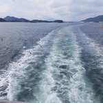 [임영민] ㅅㄷ갈매기먹이줬엉ㅎ