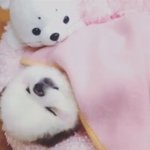 [조언부탁해] 짝남이랑 연락하는 중인데ㅜ