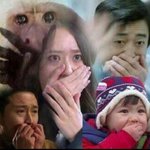 화장품처음사러가는데 추천좀 해주라ㅠㅠㅠ