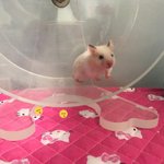 [댓글부탁해] 화장진한거 안어울리는 애들 있냐...ㅠㅠ