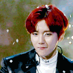 [백현] 161121 sbs 파워 <b>FM</b> 콘서트 백현 움짤