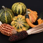 2017년 추석 한가위에 의미 깊은 감사편지를 받다!