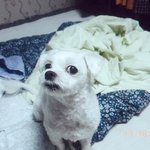 좀<b>비고</b> 아는사람ㅋㅋ