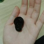 [드루와] <b>음식</b>중에 닮은거같은거 있다면 <b>얘기</b>해줘 ㅎㅎ