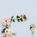 각자 본진 <b>팬송</b> 알려줘!!