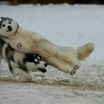 [댓글부탁해] 오늘밤도 <b>탕진</b>으로 불태웠다