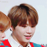 [강다니엘] 딩/고, 강다니엘과 라이벌 된 썰(+링크)