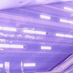 <b>타미</b>힐피거맨투맨 얼마쯤함?