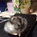 <b>야민정음</b>은 왜 <b>야민</b><b>정음</b>이야?
