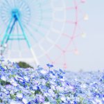 [드루와] 나좀 도와주셈