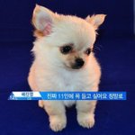 [댓글부탁해] 이거 부모님 등골브레이커 짓이야?