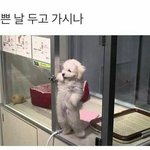 [드루와] 친구&amp;가족이랑 밥먹을때 <b>트름</b>, 방구 괜찮다 추반ㄱㄱ