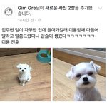 너네는 카톡하는 거 안 귀찮아??