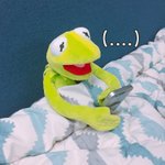아직도 <b>친척</b>집인 사람 손