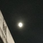 [댓글부탁해] 얘들아 우리 공부<b>명언</b> 올리고가자