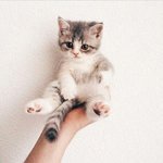 끼잉졸<b>귀탱</b>ㅜㅜㅜㅜㅜㅠㅠ