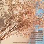 고3선배좋아하는데 <b>연휴</b>때문에