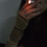 다들<b>모행</b>