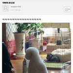[댓글부탁해] 너네 콘서트갈때 화장해??