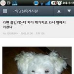 [댓글부탁해] 플레이스토어 <b>유료</b>앱