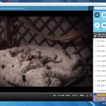 미친 <b>ebs</b>에서 이래도돼냐?