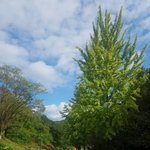 [임영민] 나도 오늘<b>구름사진</b> 올려봥