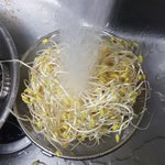 [야메요리] 콩<b>나물</b>국을 만들어따~~!~!//!