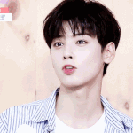 내가 보려고 올리는 연예인 짤
