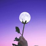 [<b>찬반</b>ㄱㄱㄱ] 알고보니 서로 좋아한 적 있다vs없다