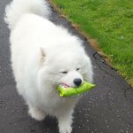 [워너원] 지금 내심정을 간결한 노래로 표현해봤어(슴 0)