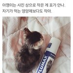 갤럭시s8+ 나 s8쓰는 애들아