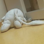 [댓글부탁해] <b>무민</b>이 쓰러졌어..