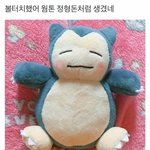 맨투맨 <b>브랜드</b> <b>추천</b>해죠