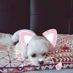 깨물어주고 싶어