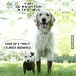 [ㅋㅋㅋㅋㅋ] 나만큼 피부 빛나는 사람 없음