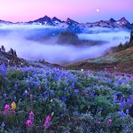 [드루와] 밤이니까 꿈얘기하고가!