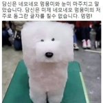 [댓글부탁해] 너넨 꿈 <b>흑백</b>이야 컬러야?