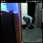 애들아 진짜 이게 사람이 할 짓이냐..