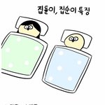 이런 <b>집순</b>이들!!!