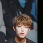 [박우진] 하 언제 한국오니 진짜