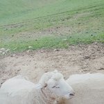 [댓글부탁해] 얘드라 소설쓸건데 주제나 키워드 좀 주랑