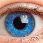 [댓글부탁해] 너네 <b>똥쌀때</b> 뭐함?